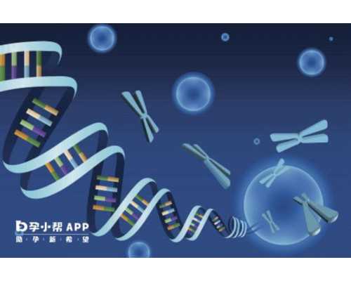 包生男孩供卵,儿童多吃蛋白粉补充营养是个“伪科学”这样吃效果更好