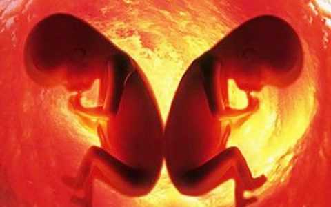 供卵代怀-弱精症能治愈吗？