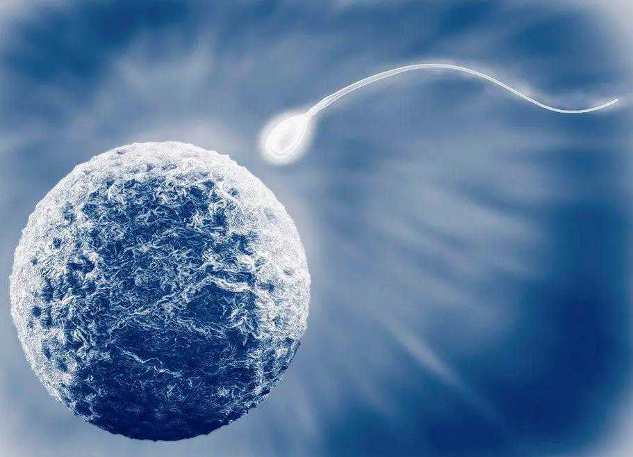 代怀生儿子-黄体期促排卵方案好不好？黄体期促排卵效果好吗?？