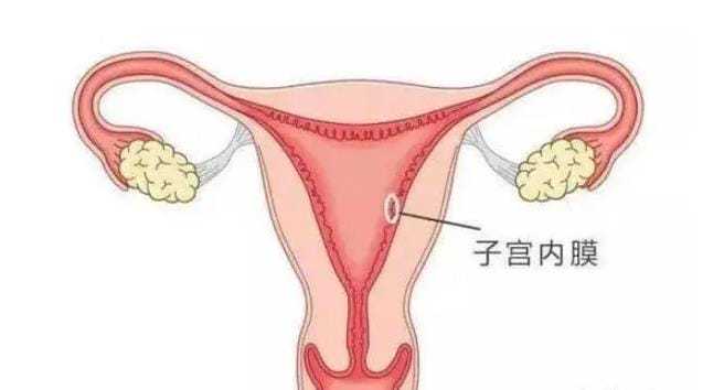 助孕-怀孕初期检查要注意什么？【怀孕初期检查注意事项】