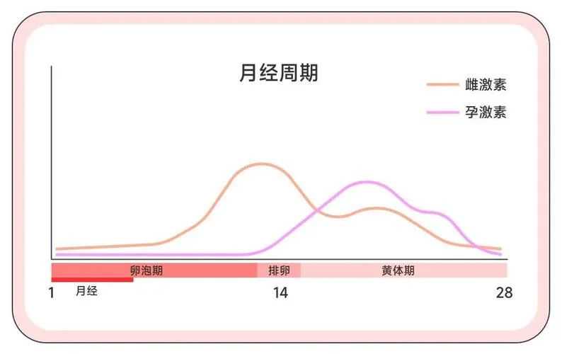 试管移植后吃环孢素多久