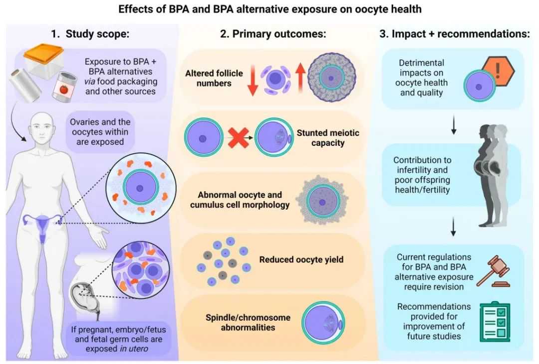 包生男孩-（图）如何用排卵试纸确定排卵日，以及安排AA时间