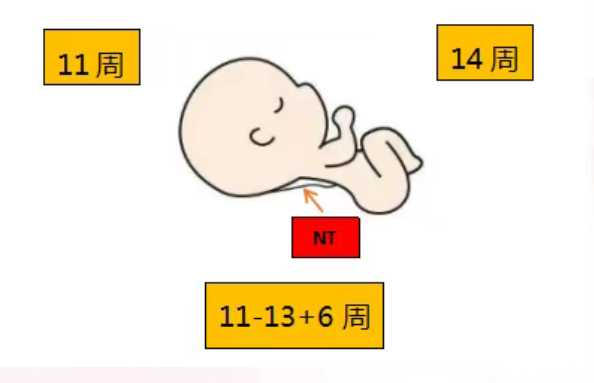 代生-死精症有什么症状？精液黄色正常吗？