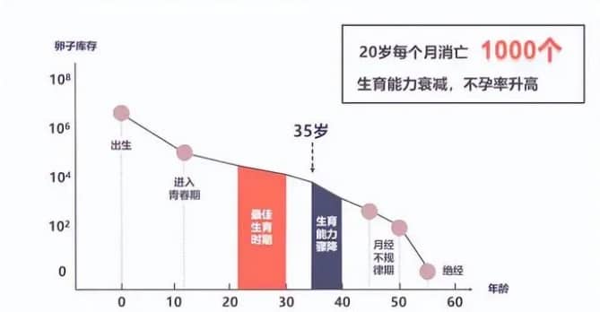 代怀价格-57岁女人还能正常自然怀孕生小孩吗？