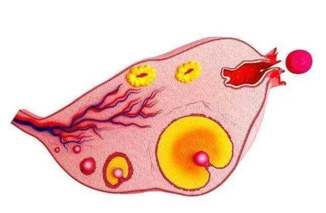助孕机构-甲醛对备孕有影响吗 甲醛影响备孕吗