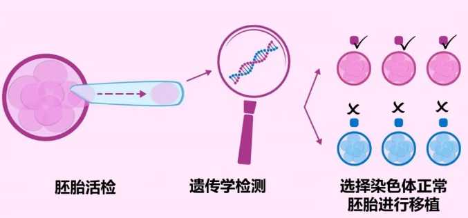 包成功-移植12天测不出来是不是说明失败？