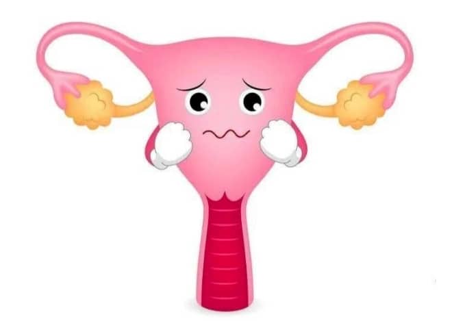 包成功-精神紧张会影响怀孕吗