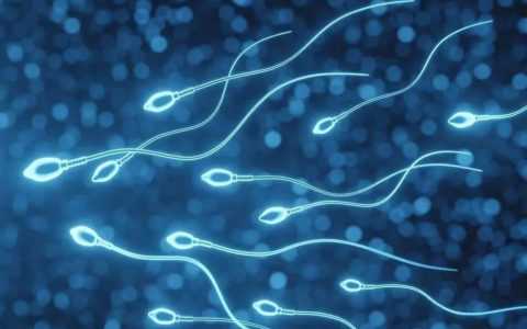 出血阴超检查胎停还有希望吗