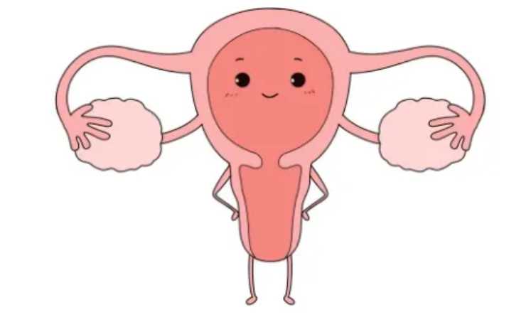 供卵代怀-宫腔镜手术后小腹两侧隐痛