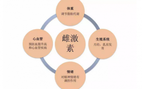 供卵代怀-孕早期HCG隔天翻倍差