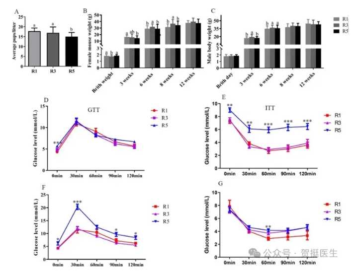 代生求子-宫腔粘连试管一次成功率高吗？如何预防宫腔粘连？