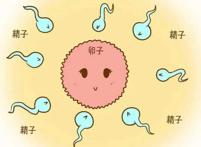 助孕-如何比较佳处理子宫息肉？有什么方法可以有效应对子宫息肉？