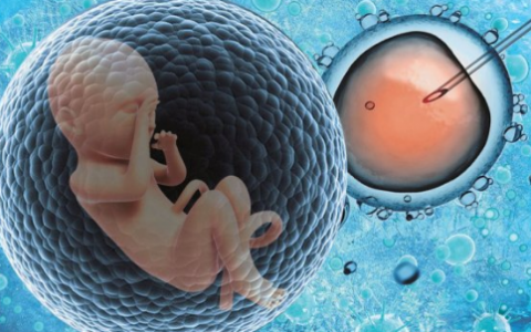 助孕机构-试管婴儿宝宝会体弱多病吗?