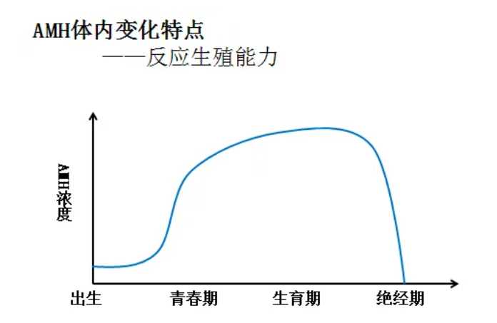 代生价格表-试管卵子质量差的原因是什么？女性卵子质量差的表现