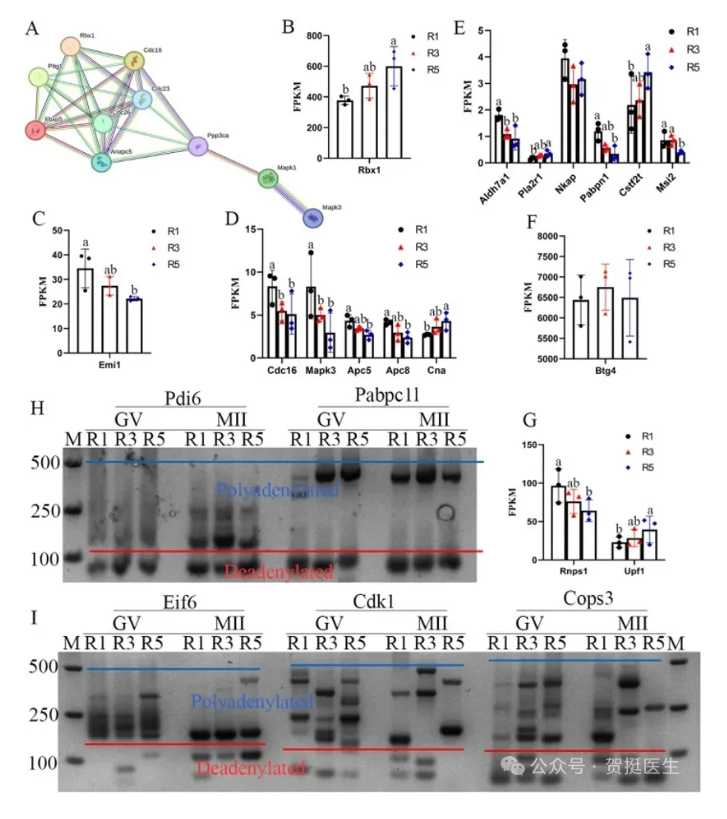 代怀-镇江子宫息肉的症状：子宫息肉常见的症状