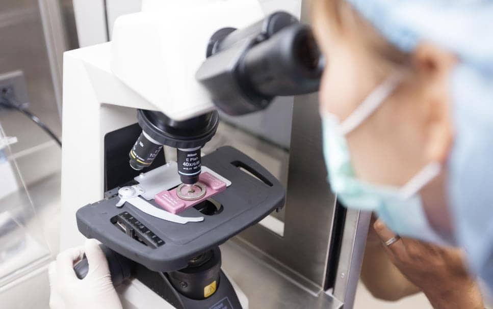 试管包成功真正成功的有多少?