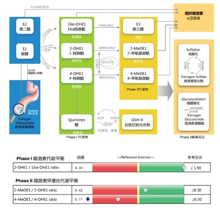生儿子-卵泡最佳受孕时间?做试管需要多大的卵泡?