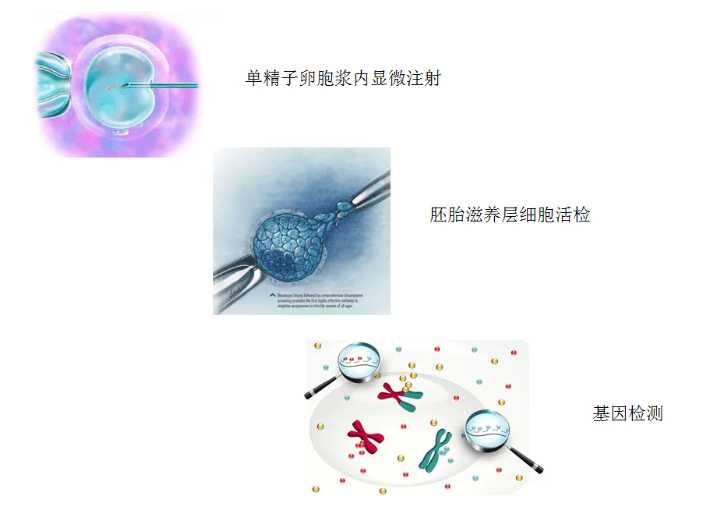 代怀价格-天喜丸备孕吃两粒促孕效果好吗？