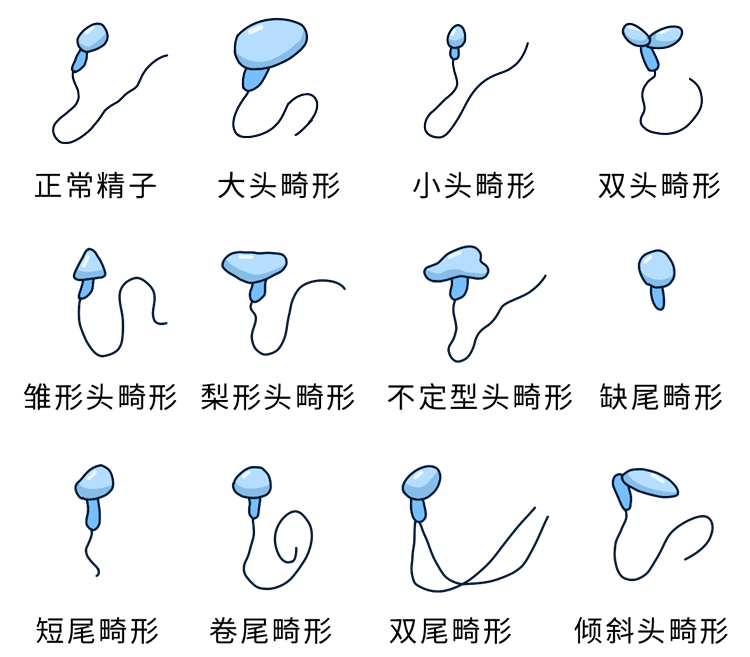 代怀价格-试管胚胎技术：选择鲜胚移植还是选择冻胚移植更好？