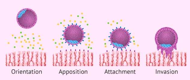 代怀生儿子-备孕用什么护肤品，怀孕用正常的护肤品可以吗