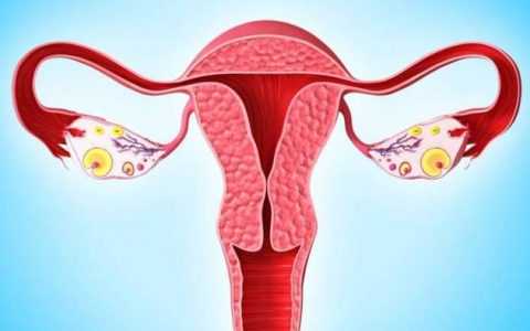 助孕机构-弱精死精可以人工授精吗？弱精死精可以治愈吗？