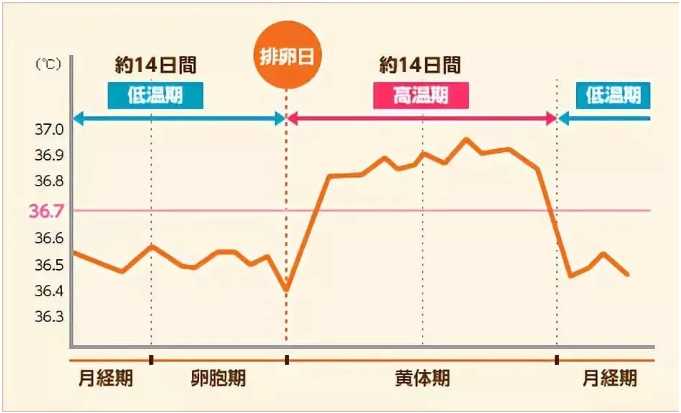 试管婴儿前要做什么准备？