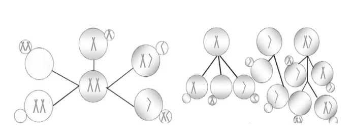 代生价格表-囊胚移植70天是几周_冻胚移植70天是正常怀孕多少天