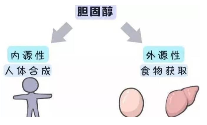 包生男孩-子宫内膜的正常值？