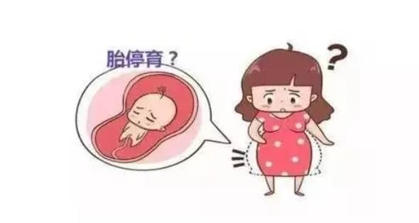 供卵代生-子宫肌腺症可以人工授精吗？子宫腺肌症可以人工受孕吗？