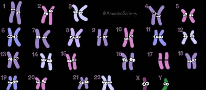 做唐氏筛查与女性年龄有关系吗