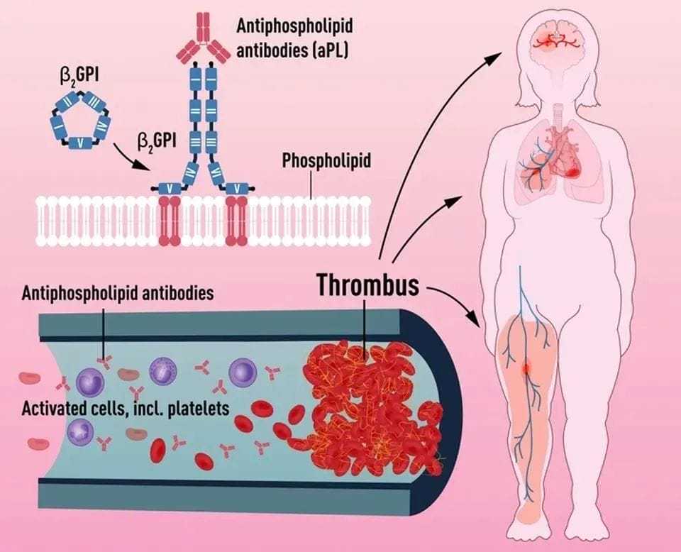 代生价格表-三代试管移植2个囊胚有风险吗？