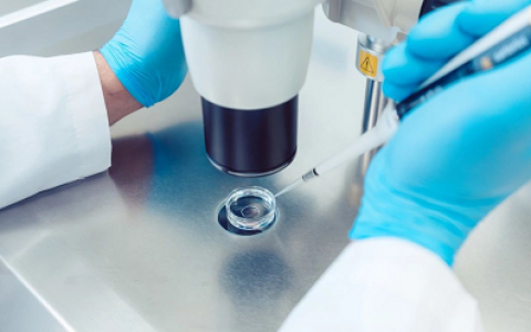 哪些宫颈癌可以保留生育功能