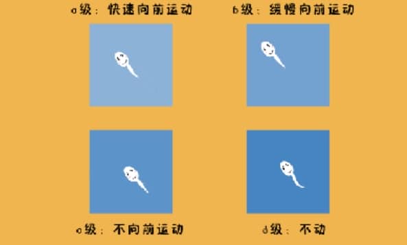 代孕公司-怀孕初期饮食有哪些禁忌