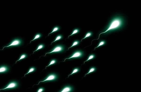 供卵代生-为什么吃叶酸片后白发会变黑？医生为什么不推荐使用叶酸？