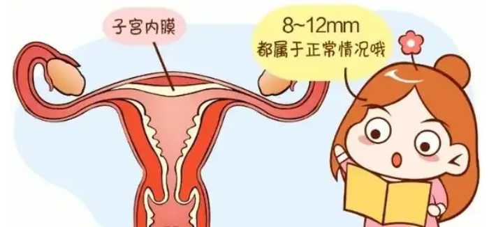 生儿子-双角子宫怀双胞胎案例?双角子宫做试管怀双胎成功的案例多吗?