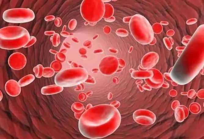 高胰岛素血症会影响怀孕吗