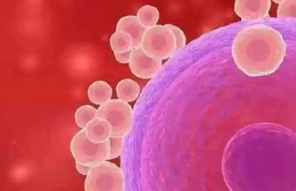 代孕公司-怀孕前三个月吃什么,怀孕前要注意什么