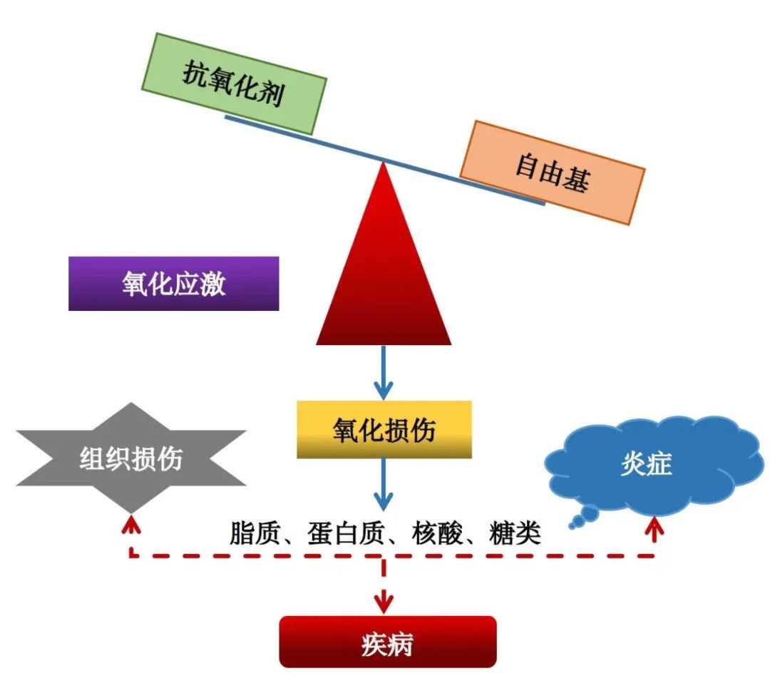 代怀微信-国内做借卵试管的费用是多少？