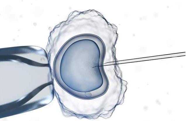 助孕-早孕吃冰冻西瓜会胎停吗