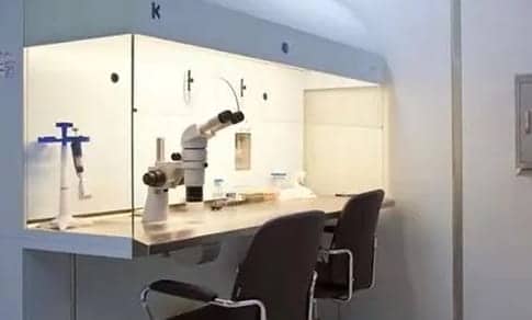 怀孕出血孕酮b超都正常