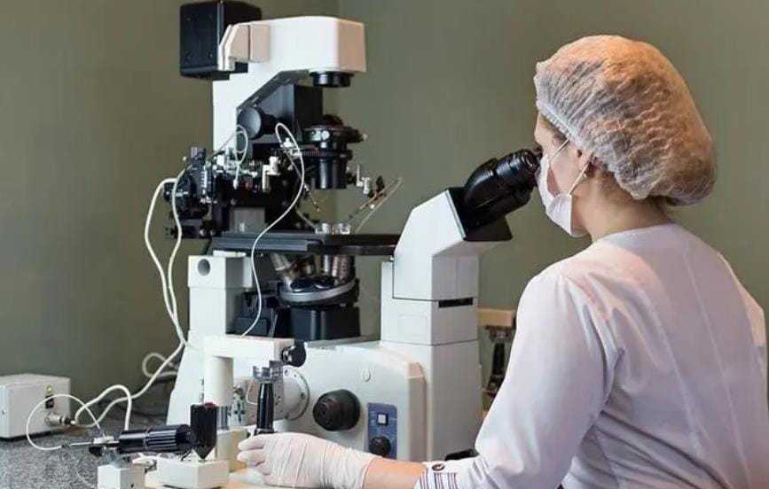 助孕男孩-怀孕早期可以吃生蚝吗_怀孕早期可以吃藕吗