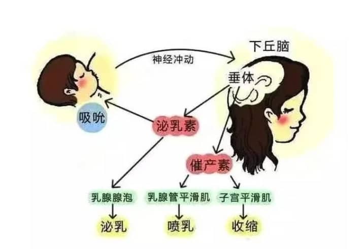 助孕机构-精子异常精子的颜色是不是