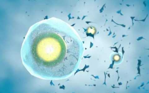 代怀男孩-HCG检查准确吗