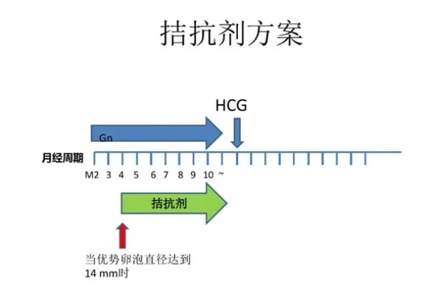 代生求子-试管婴儿着床晚正常吗(试管婴儿着床晚正常吗)