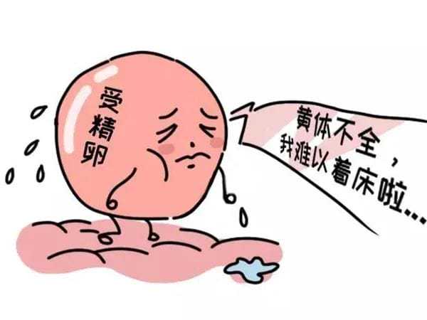 代孕公司-怀孕多久可以做超声检查