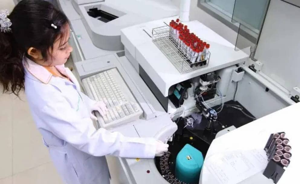 供卵代生-孕妇可以吃香菜吗孕妇吃香菜的好处