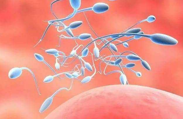 代怀-子宫内膜增厚刮宫疼吗？刮宫手术是什么感觉？