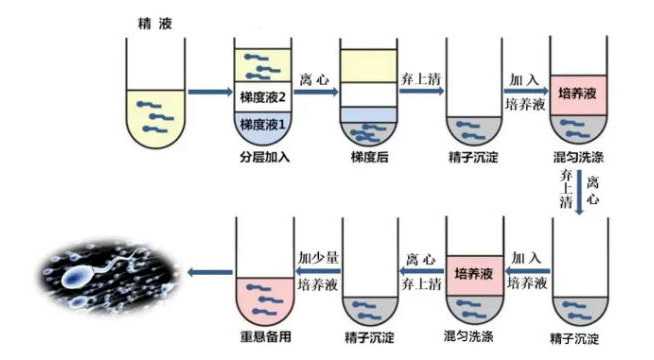 代生求子-月子里排恶露应该多走动吗，怎样促进子宫收缩排除恶露