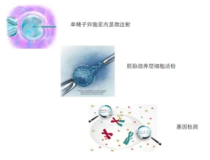 代怀价格-怀孕初期可以吃油炸团肉吗?