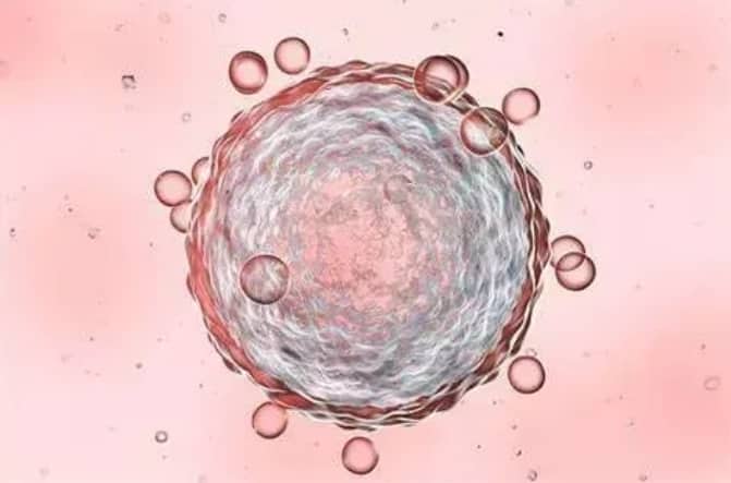 代孕公司-子宫内膜息肉会影响试管婴儿吗？子宫内膜小息肉影响试管移植吗？